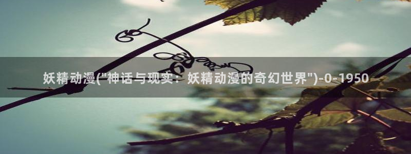 魅魔动漫