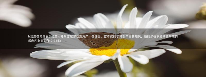 动漫世界