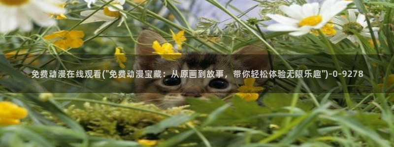 内衣办公室动漫：免费动漫在线观看(\