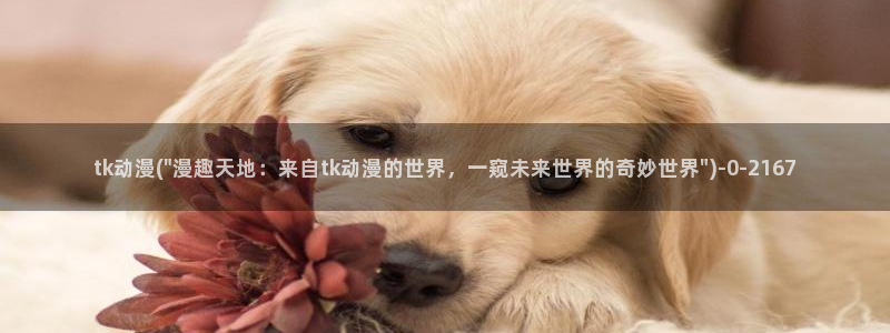 斗罗大陆动漫免费观看